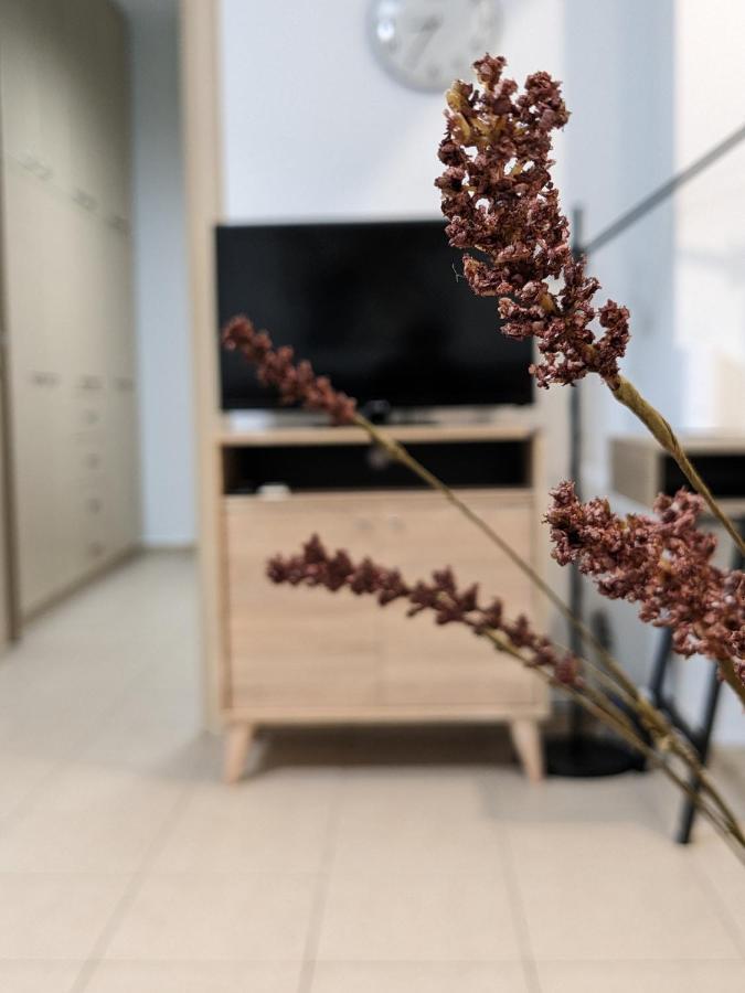 Cozy Apartment Near The City Centre Ираклион Экстерьер фото